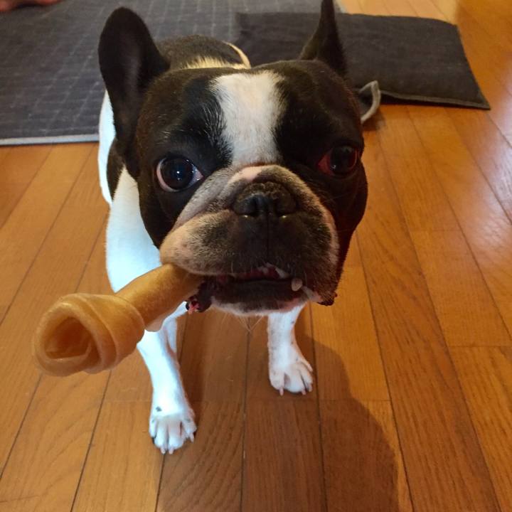 7a3df22c 6697 40eb b990 26bcb95004fa