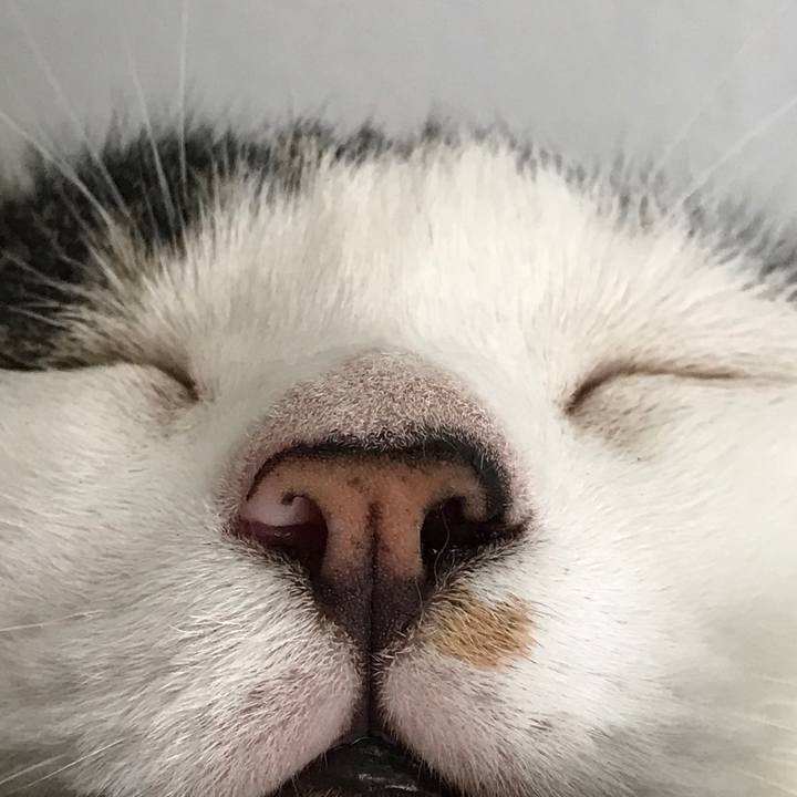 7a3e8173 452e 4737 9053 aaae8550ca5d