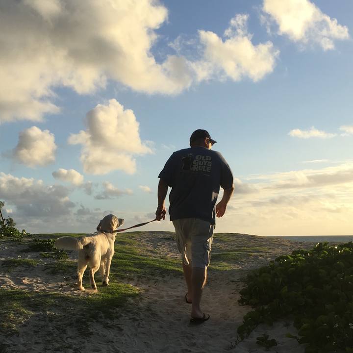 7a3f28e4 f19c 454b a45d 6f88a3b2a456