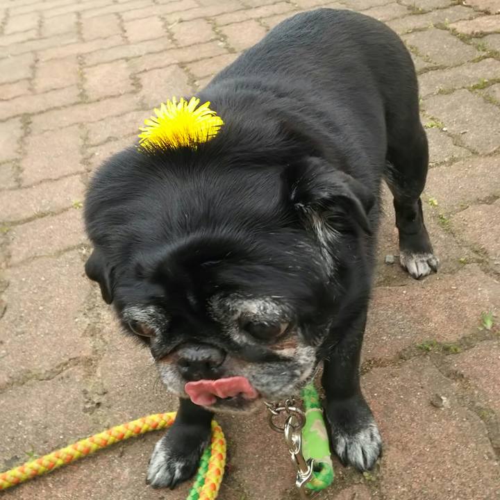 7a3f49be fd19 4102 ac22 9ad1abeb6f17