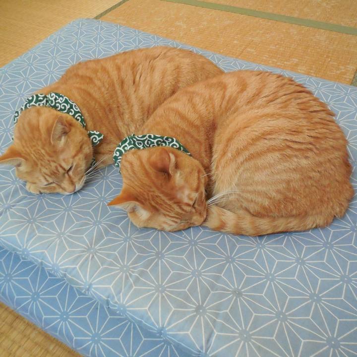 7a3f5389 1af4 41e2 8303 1c76002e84fc