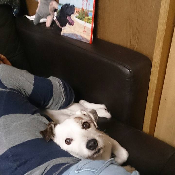 7a3fd2d9 c497 465e b350 24a70ba5bac4