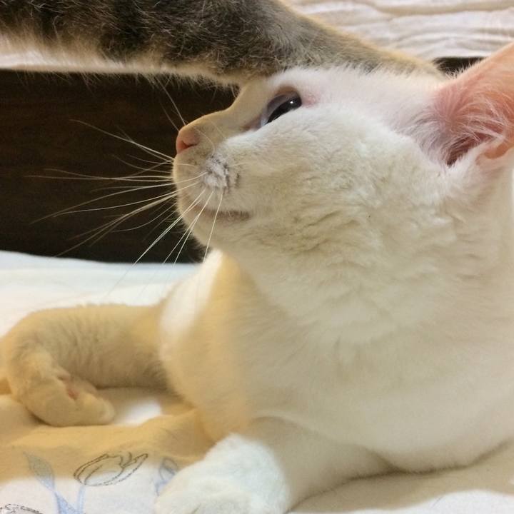 7a3fecf2 97af 4d8e 9717 a58a65a25956