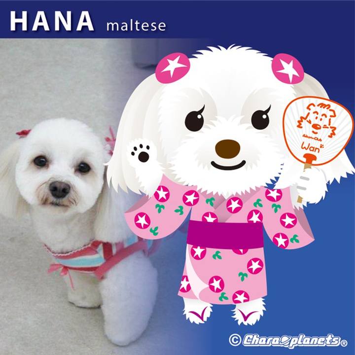 7a4055a0 148e 46e9 96c2 57f2995ad717