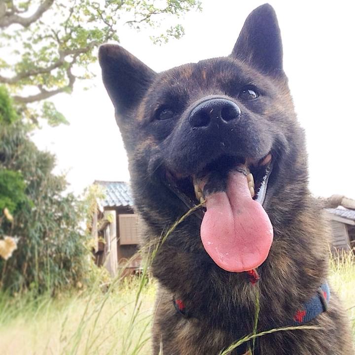 7a407805 4d52 4a0b a476 c4d26c6c7be9