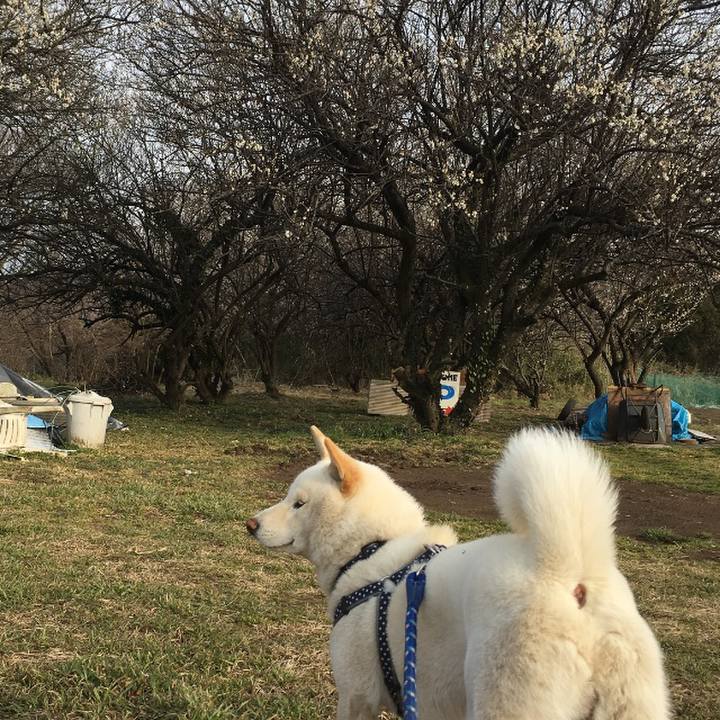 7a412115 8ad4 4a4c 9cff 1d36203e8e7d