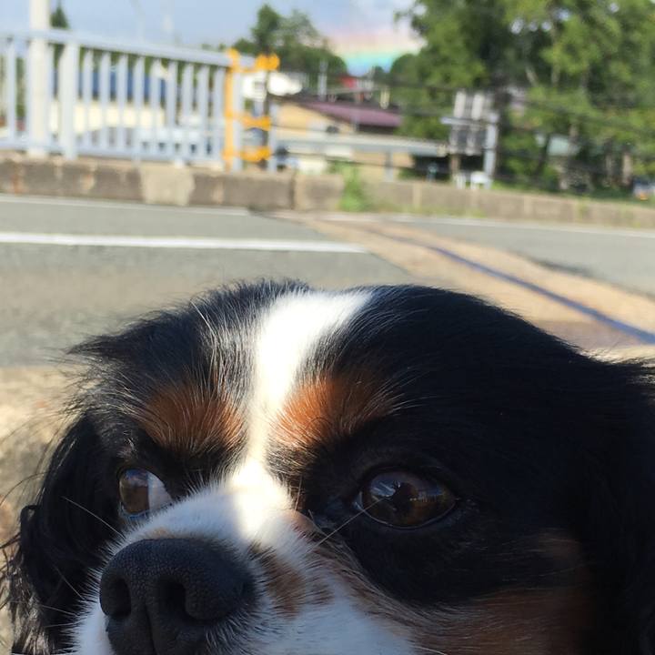 7a41743a feb6 42c9 9ce0 21fc2de06d55