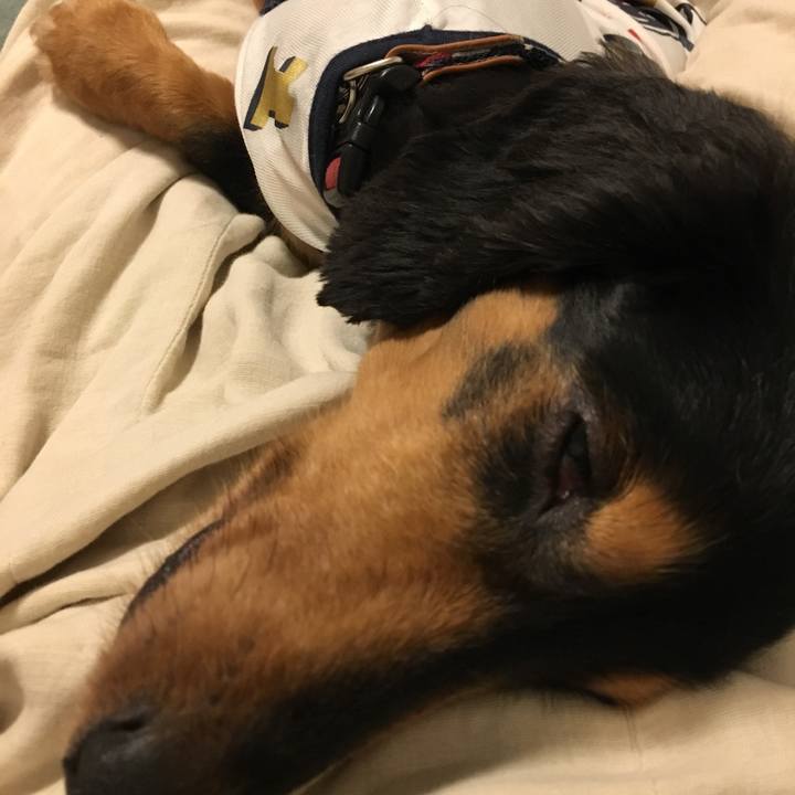 7a417dcb 7b30 4a0b be96 a70e85072b4d