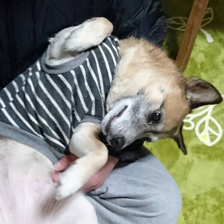 7a419ae6 c8b6 4bb2 8f67 39105c0d87ac