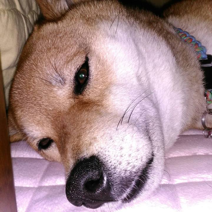 7a419b31 e930 458e b0b9 9bc4a72880b8