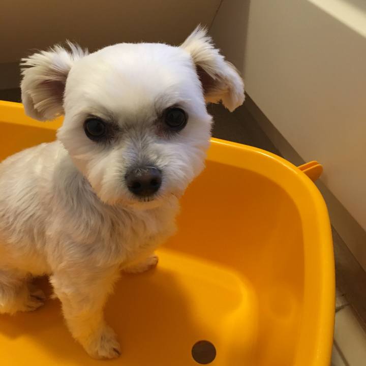 7a4256e1 232d 4259 8a60 1c8999ed3d46