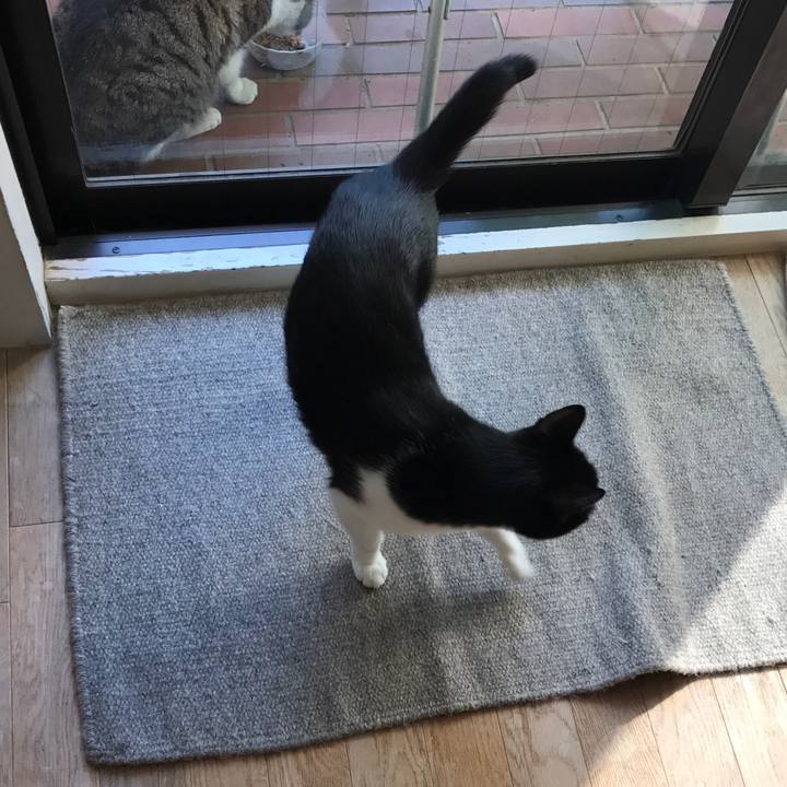 7a43561b 392c 445d 9177 821505f8af5b