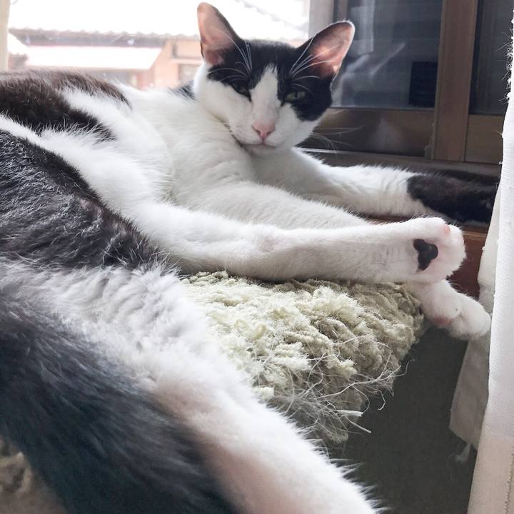 7a43853e acc1 43c5 b4f3 fcff100e2658