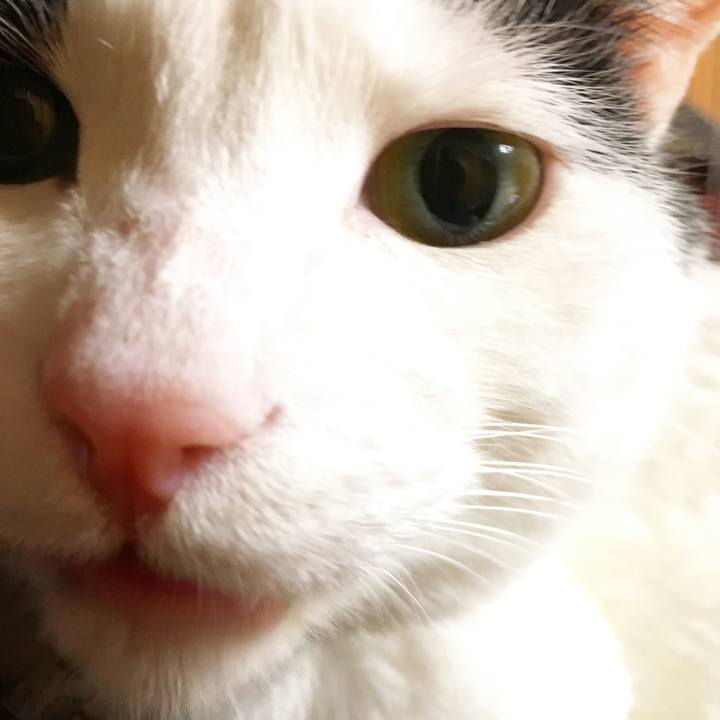 7a43b17e b0bb 47c9 aad0 a37ef8df8e00