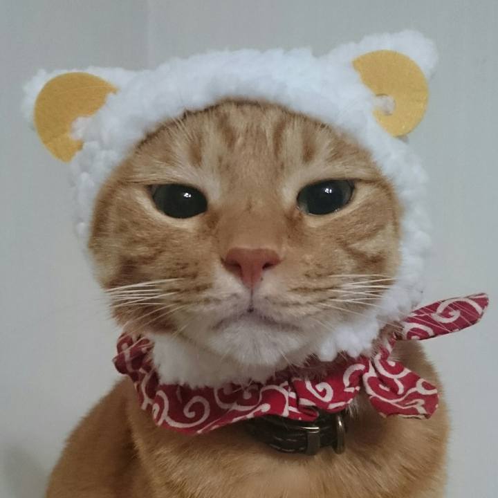 7a4491e2 d16d 4709 a710 6ae7bb2354a3