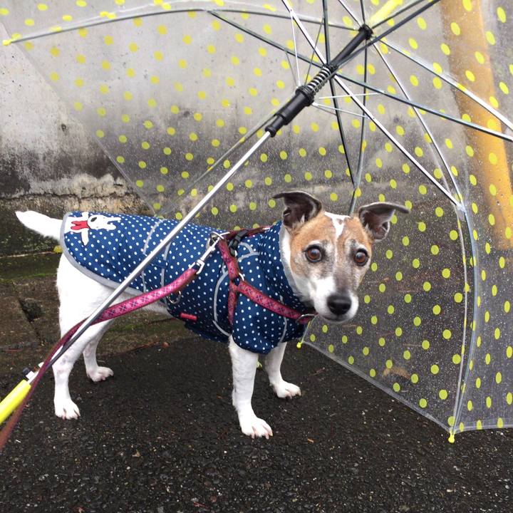 7a449d96 1026 4900 8349 629e68c9ad83