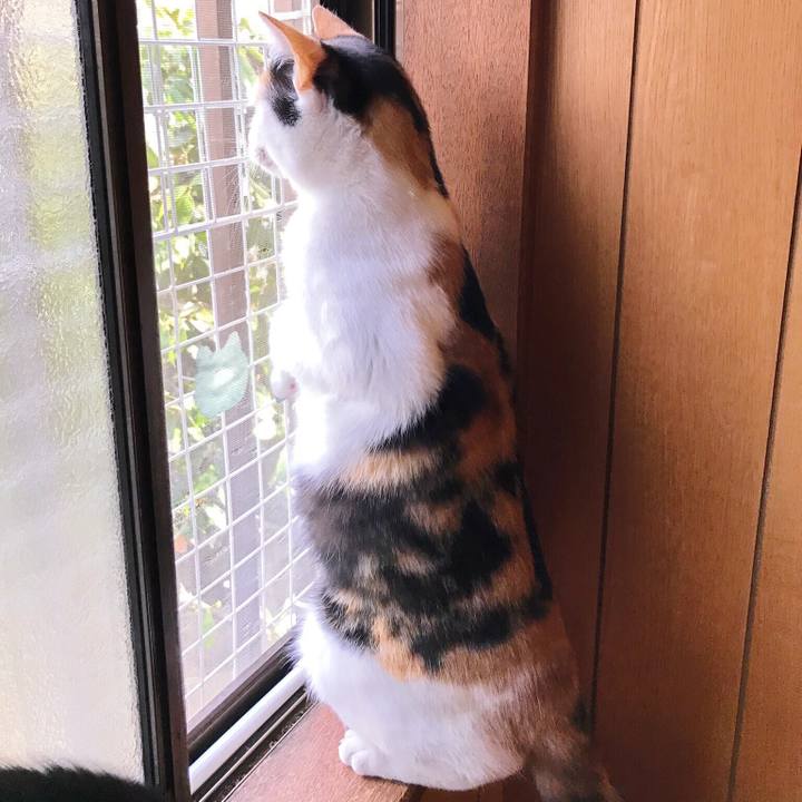 7a44c4ca 1251 460b b9b2 31e5d31305c4