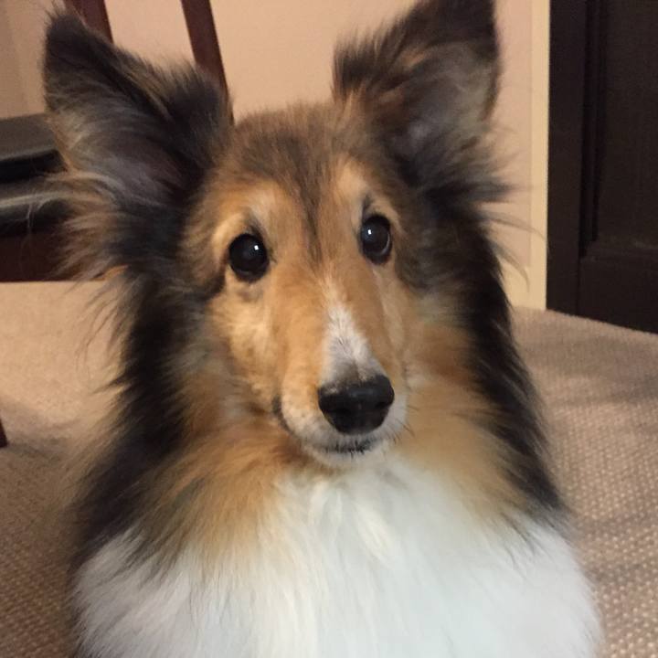 7a44d6eb 65ef 41dc ac3e 38b613303477