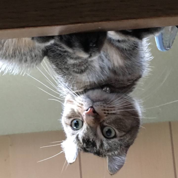 7a458caa f43e 4245 941e b2e8f5bd7d20