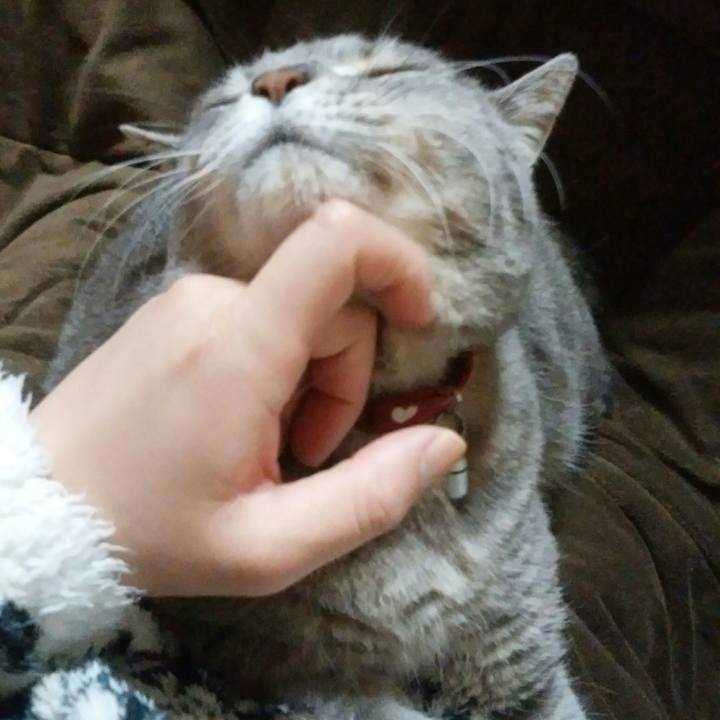 7a4605d5 8454 4948 b924 8f5e1f82990d