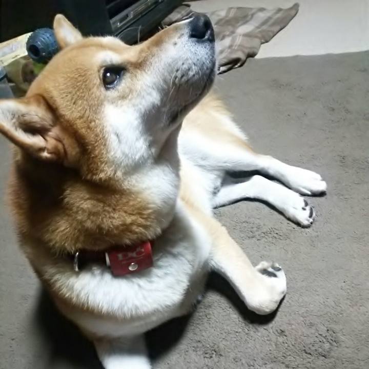 7a460c19 030a 4557 89fe 17f1d0ddf7cf