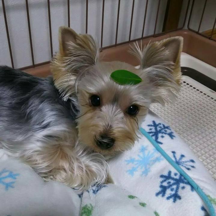 7a461284 c920 4190 942e 289935af4b01