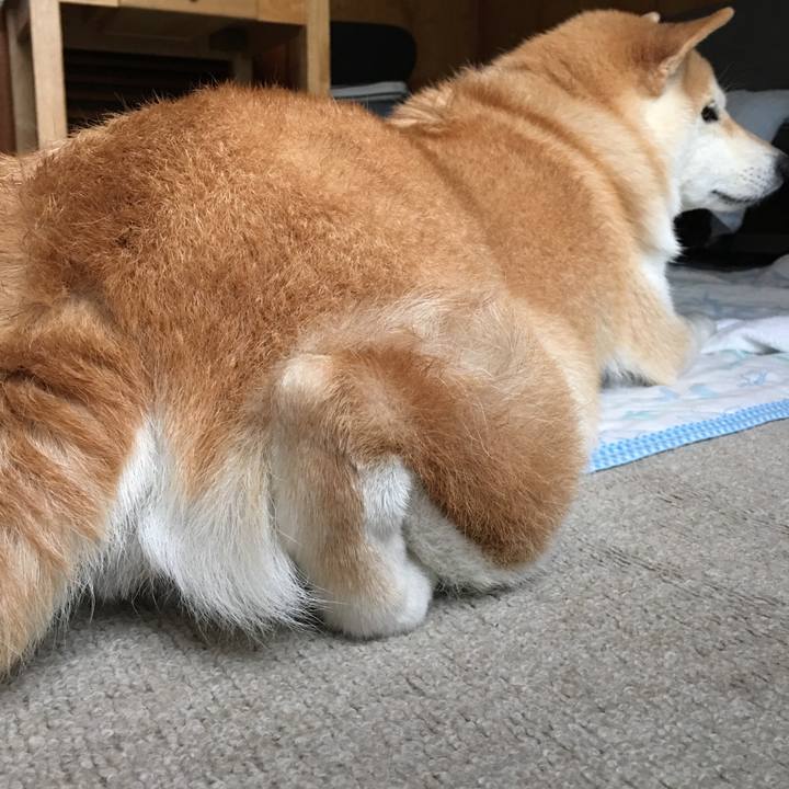 7a46c138 5ebe 48e8 b4c6 7442ae18955a