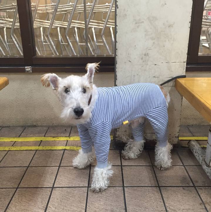 7a46edd4 06ec 4351 9918 64f2e1a6d4ca