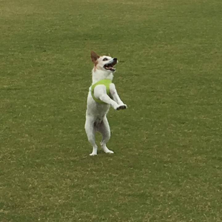 7a46ef48 bdf4 4299 ac80 e03c35640adc