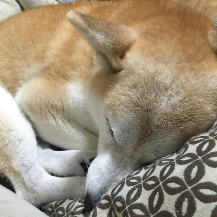 7a470f64 9d51 4264 830e 7ba60ec49860