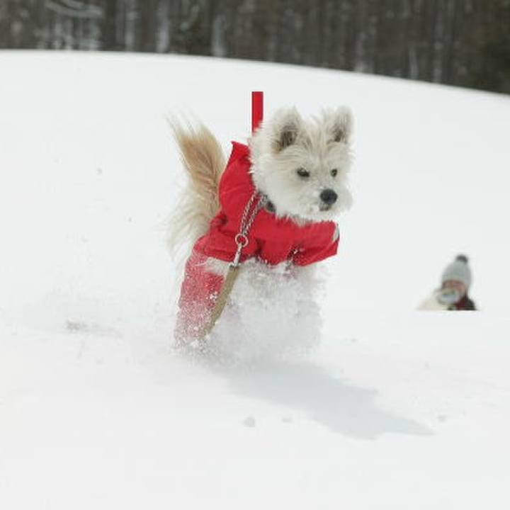 7a49b190 bbb7 4323 a56d 2167f28cf5de