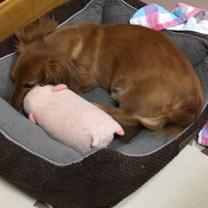 7a4a21ae 6aca 44ff 9a20 30e8e9b9c33d