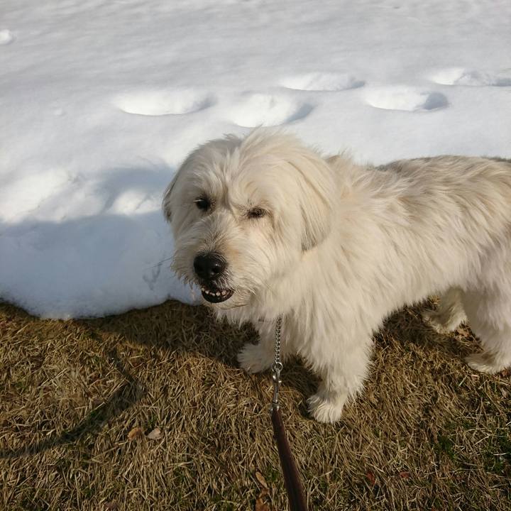 7a4a356a dff7 489e 943d 696f039b9df7