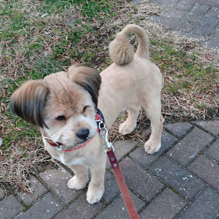 7a4b1617 04b2 4e04 b514 760da8975e6a