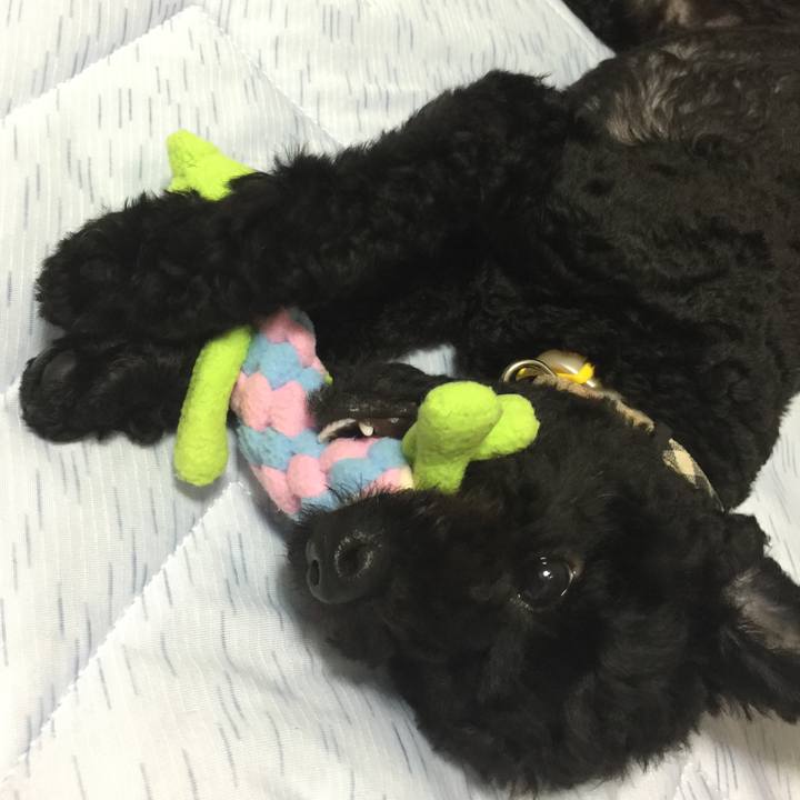 7a4b5385 8def 43e6 bafe d616e45aad46