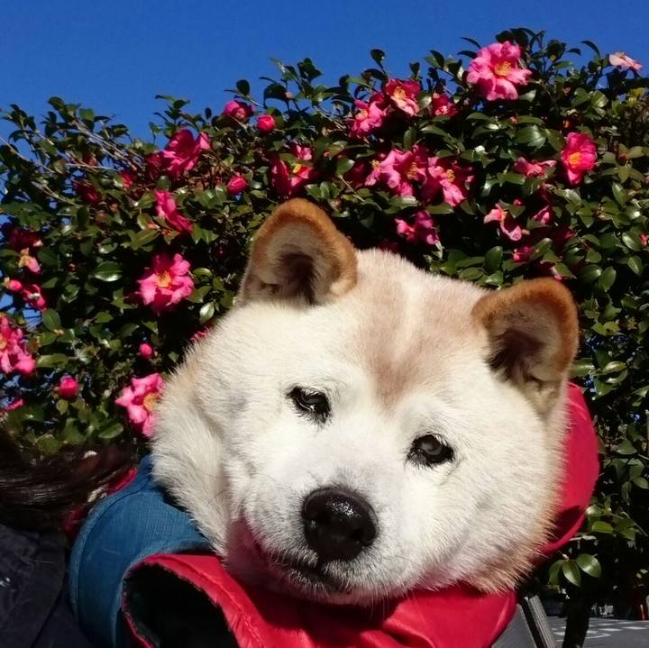 7a4bd3c7 2c53 4311 97f8 c25e946f764c