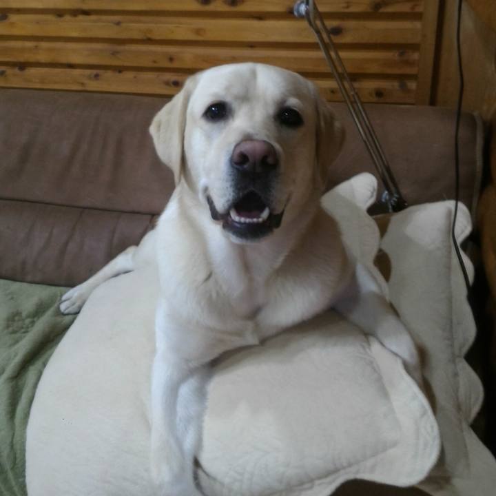 7a4cc9e0 6e16 407e bc24 18b43564d3d4