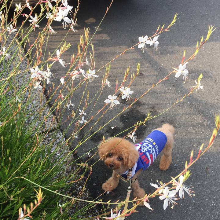 7a4cea2c 3b4d 46e2 bdd0 78a1919ff76f