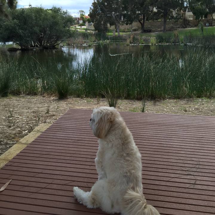 7a4d0bff ef16 4258 bd0c a388a139fcf5