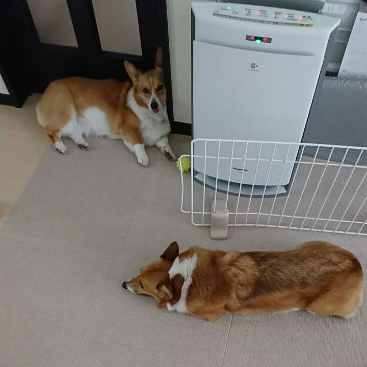 7a4d2001 2805 4e1d b284 6c081fa2bc44