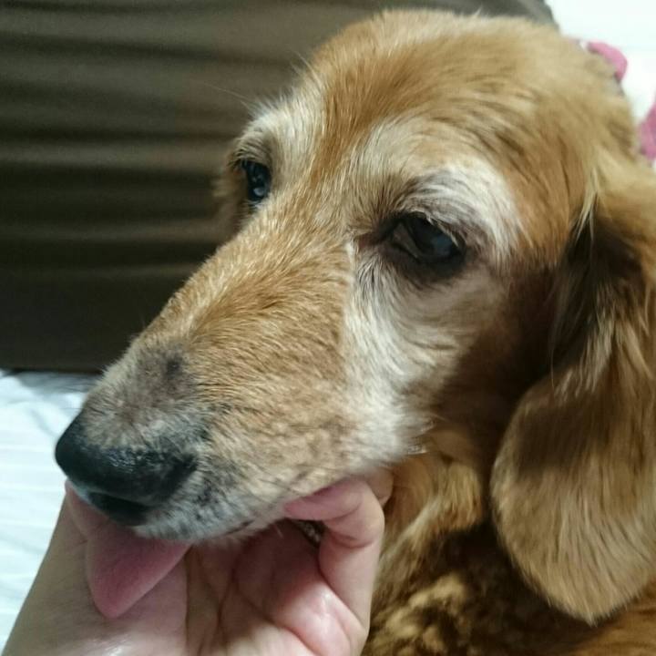 7a4d4387 701f 4347 bccc e0afceb7912d