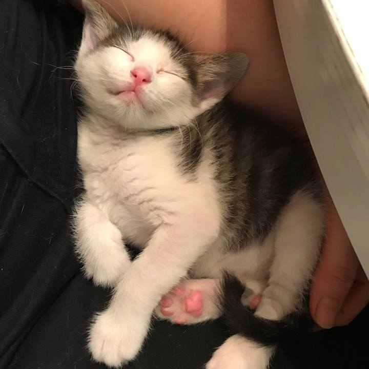 7a4da3ac 1a25 4f38 b685 05b8604cf126