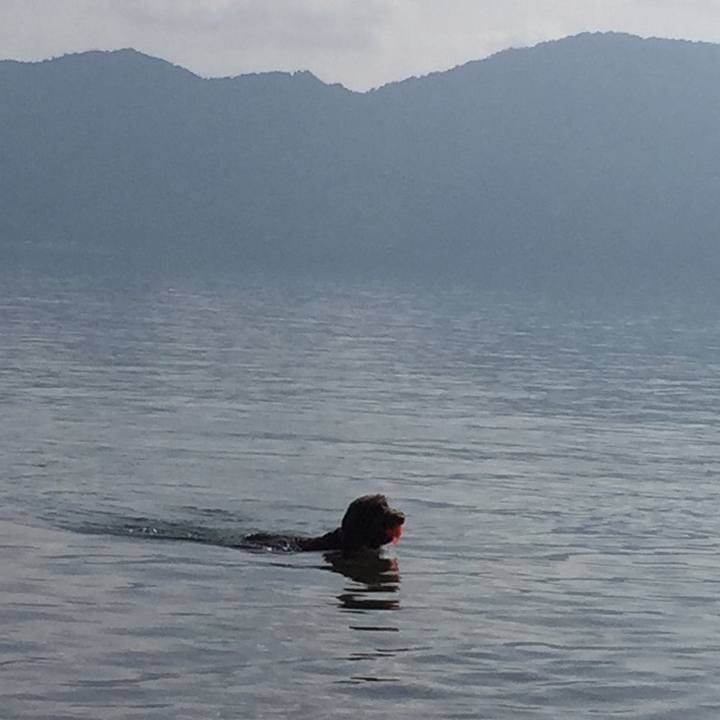 7a4e4384 fac0 4cd1 aa7b 496623d1162f