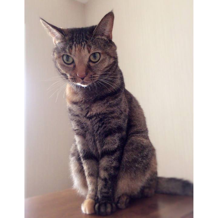 7a4edf48 1851 4bce 8202 e2998bf05883