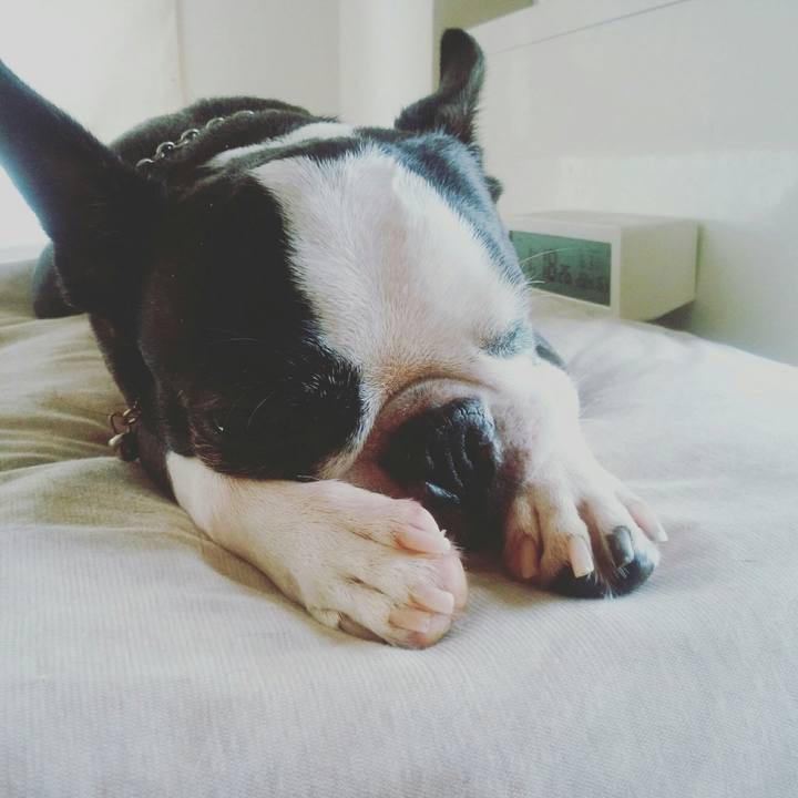 7a4f3f8c 24d8 4ab0 b1f9 1f051b33578c