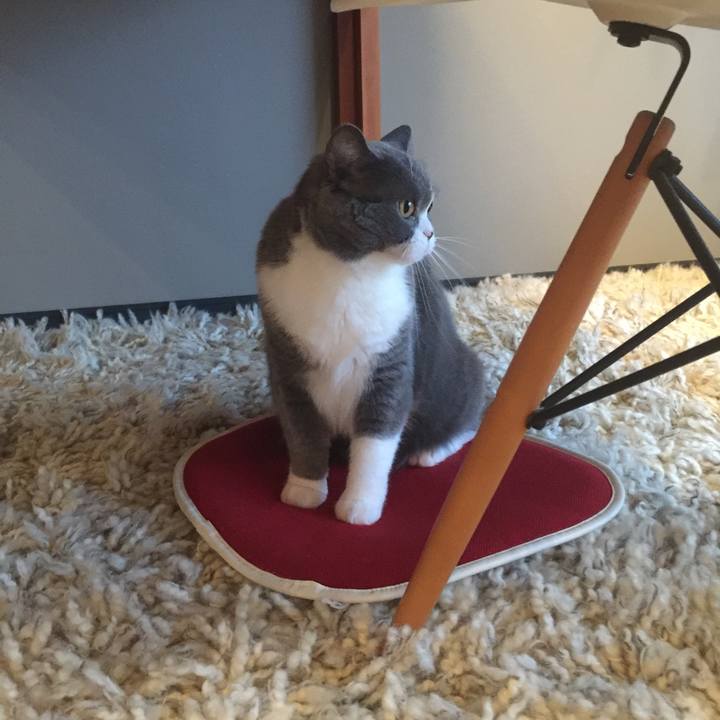 7a507794 337f 4c44 90c2 40d740ec669f