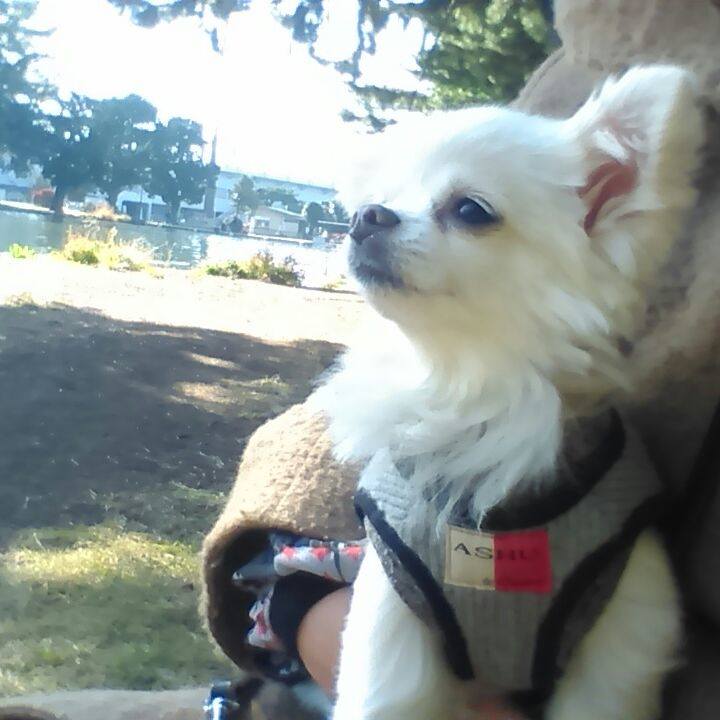 7a51418c 393d 4103 a9ac 4ca7cc666da4