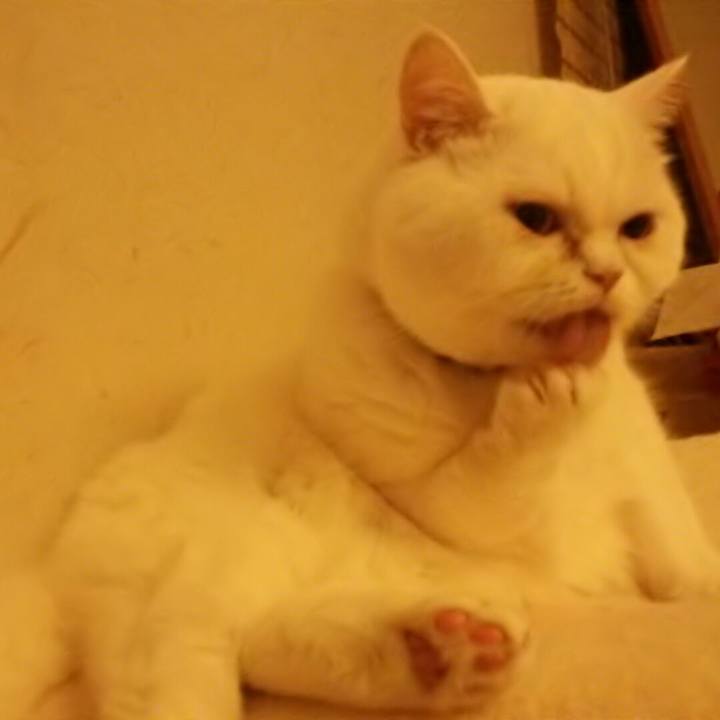 7a5265f3 5434 45dc a6a2 77375f3bd996