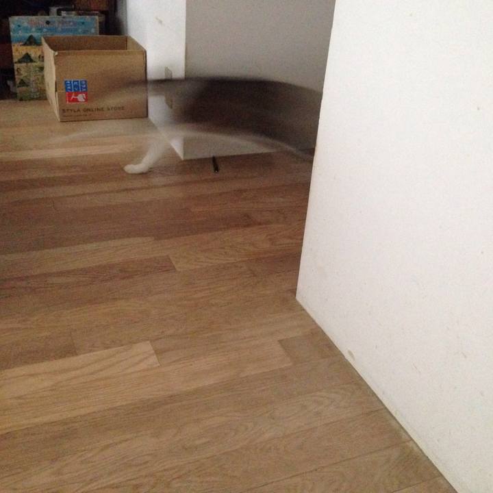 7a537cb3 37f5 4294 b016 4650fbbab6d5