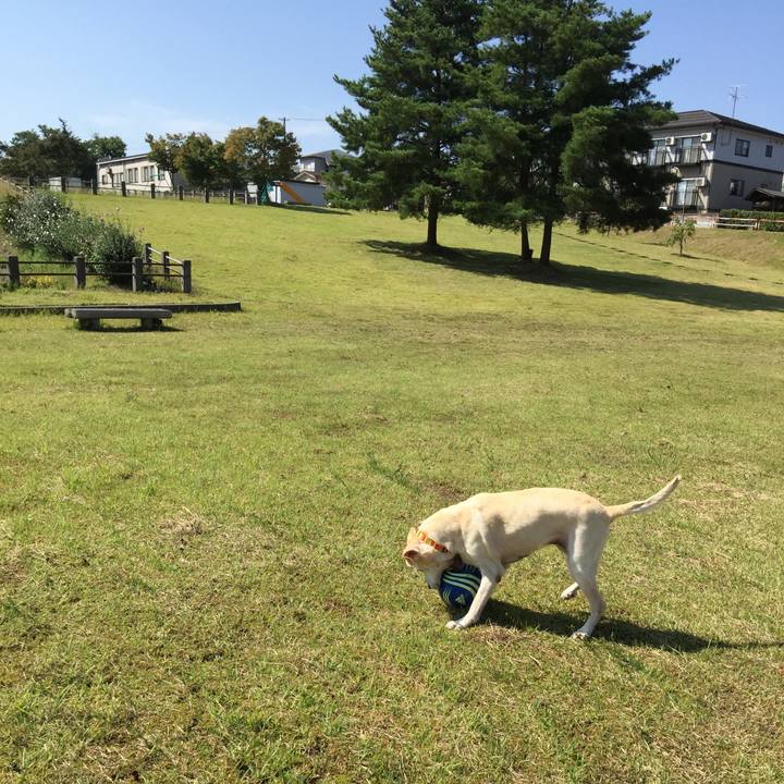 7a53f950 e685 472f 8552 31c711120910